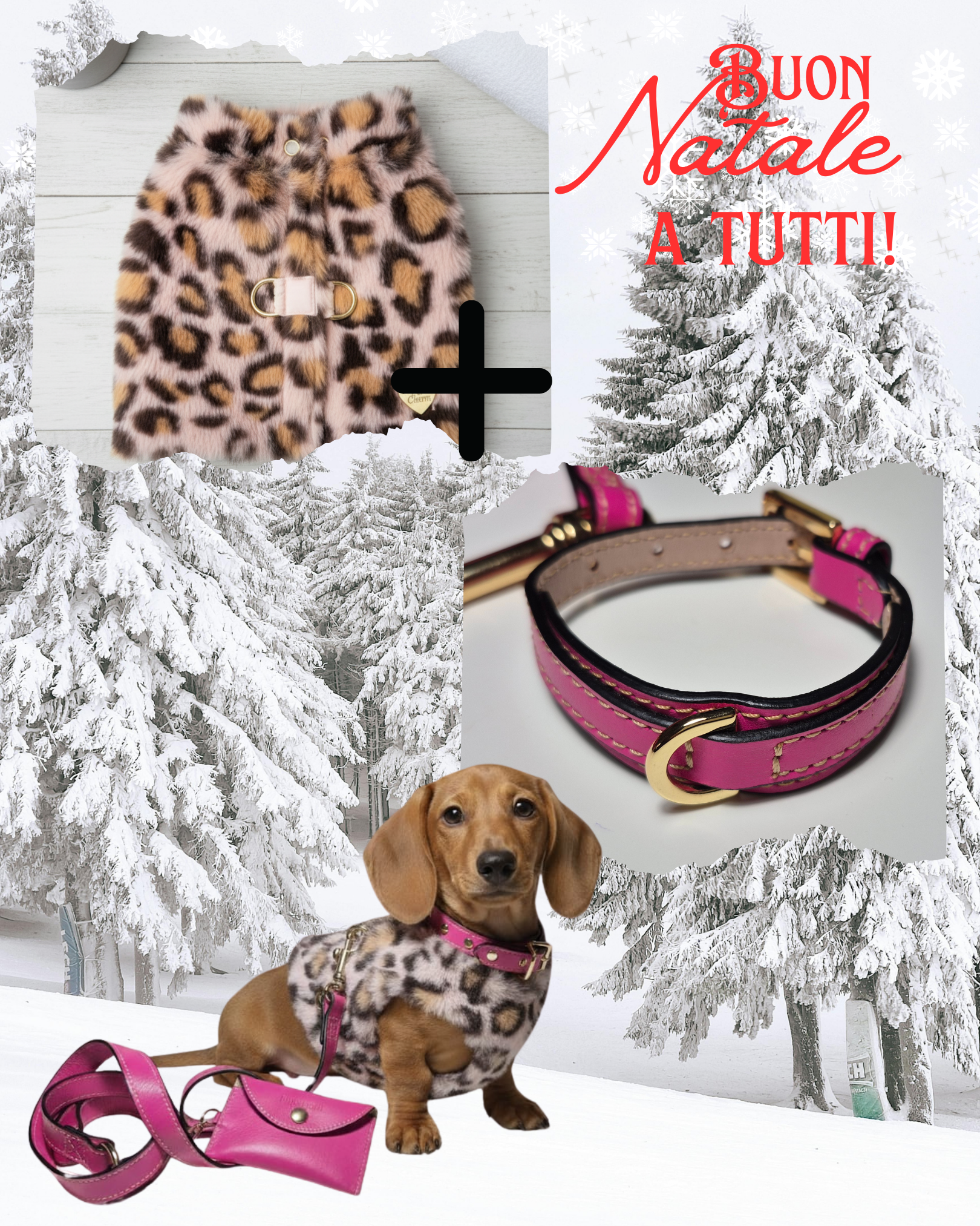 Pacchetto Glamour: Pettorina Leopard e Set Collare in Pelle